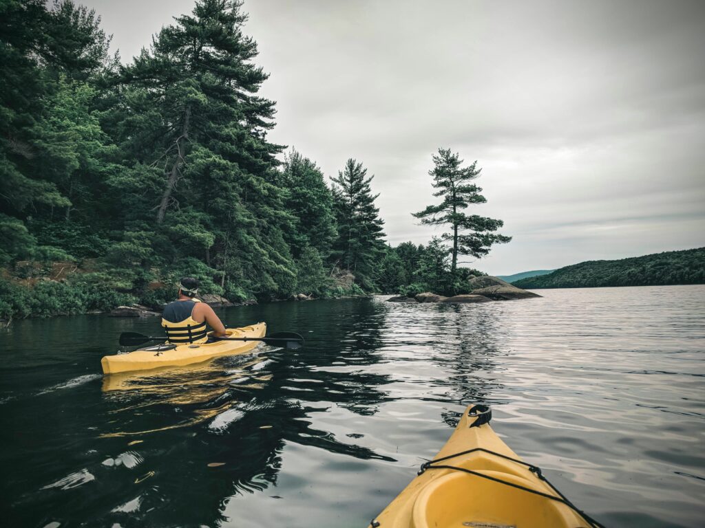 ali kazal 7ybK4NAVTCU unsplash