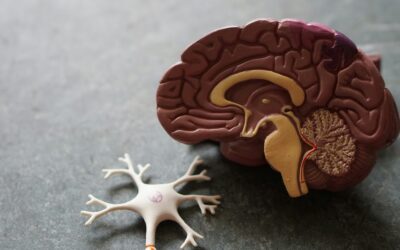 Schizophrenia in Addiction Recovery Requires a Treatment Team Willing to Hold Complexity Without Simplifying It