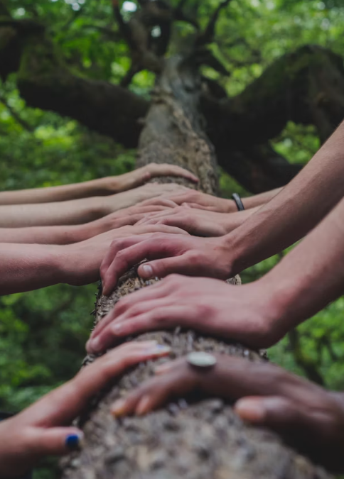 support groups