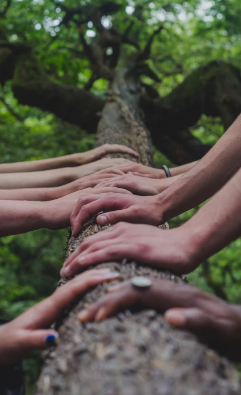 support groups